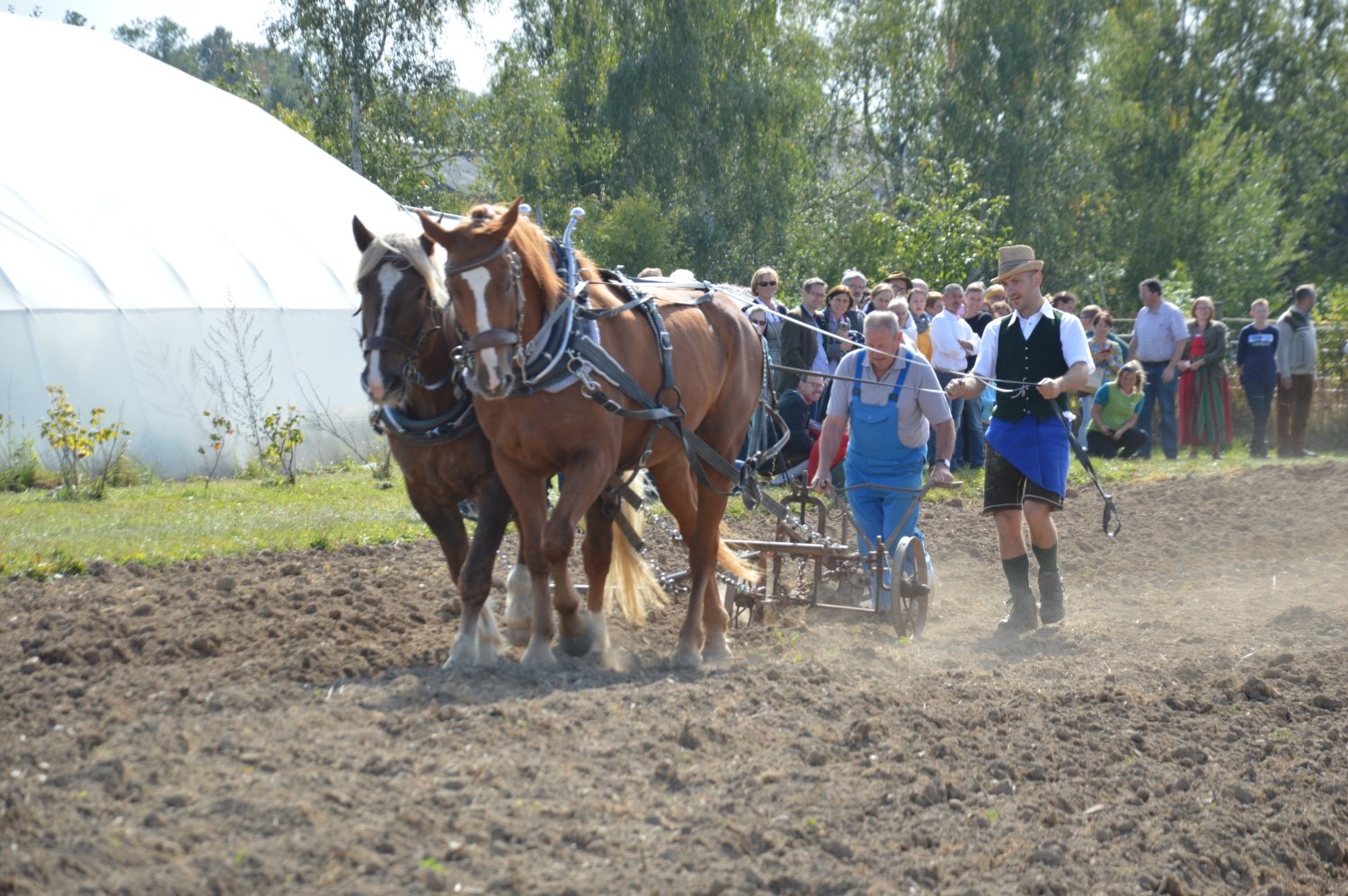 Zuschauergruppe beobachtet das Gespann bei der Feldarbeit