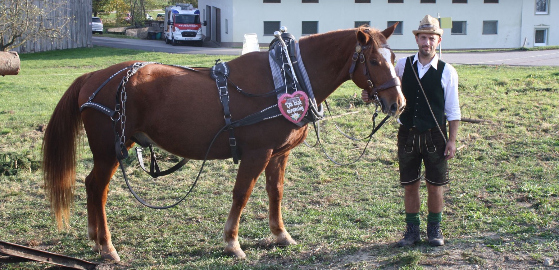 Belohnung für das Pferd nach der Arbeit