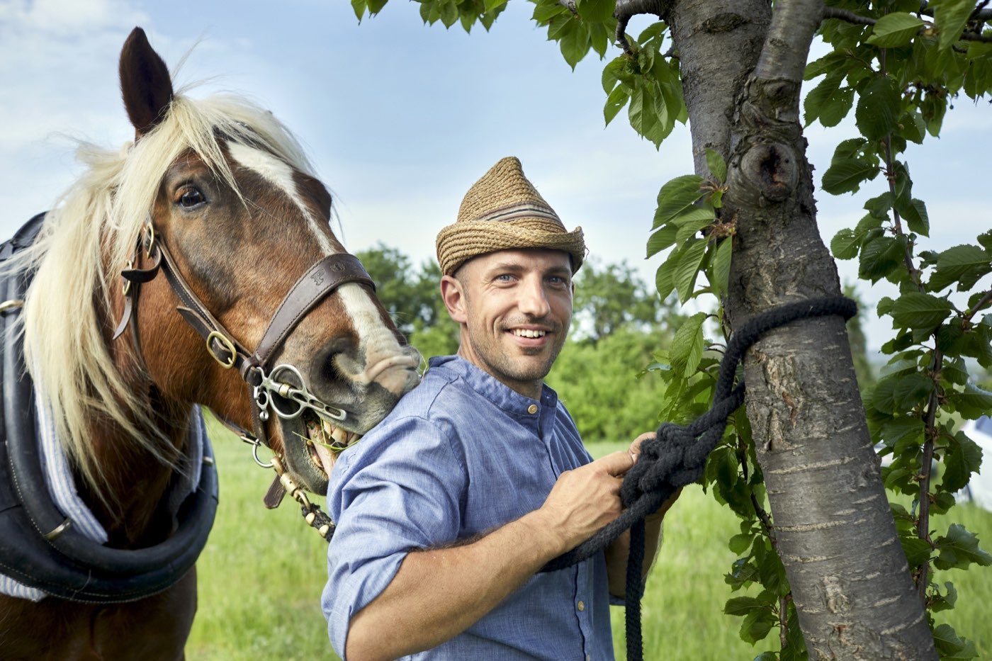 Christof Gerlitz neben seinem Arbeitspferd im Obstgarten