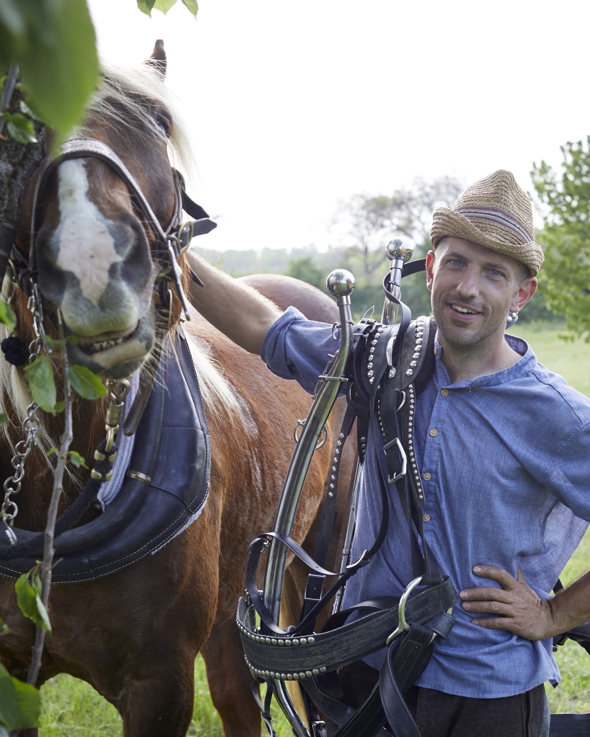 Christof Gerlitz mit seinem Arbeitspferd auf der Wiese