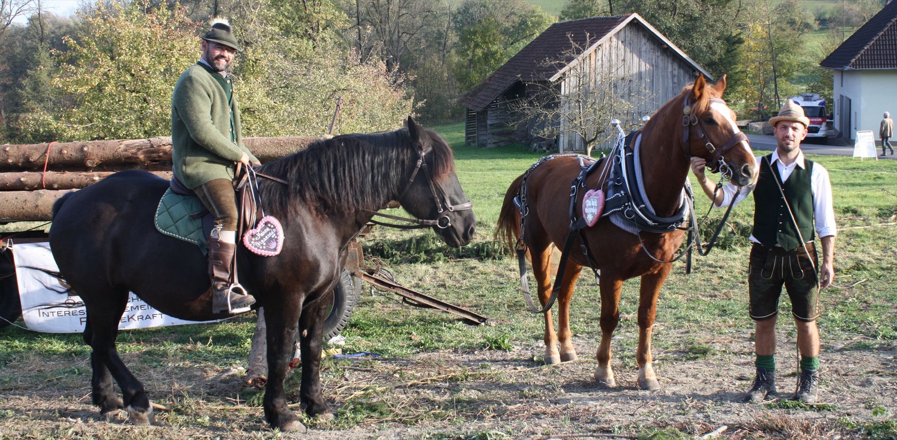 Pferd mit Lebkuchenherz
